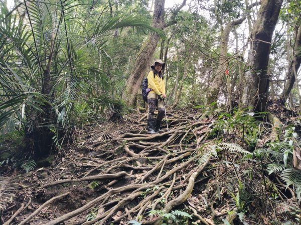 向天湖三山+ 南大龜山3012340