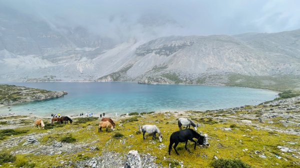 川藏33天深度之旅💙#稻城亞丁-來古冰川2901885