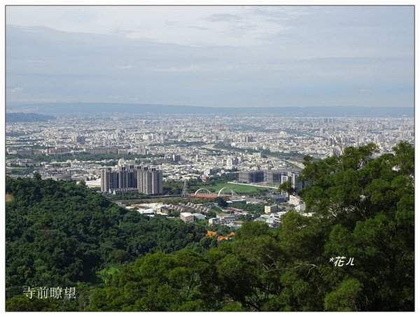 大坑/觀音山(小百岳)632374