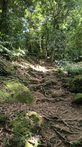 20251004 馬那邦山 - 珠湖 登山口2904929
