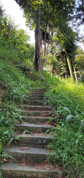 2021-08-21仙山登山步道1442778