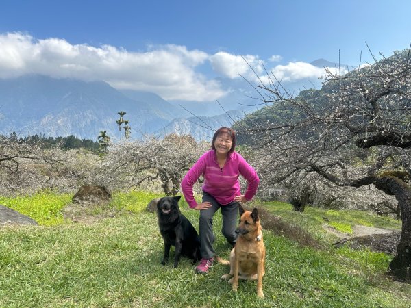 南投縣信義鄉二坪山步道2690530