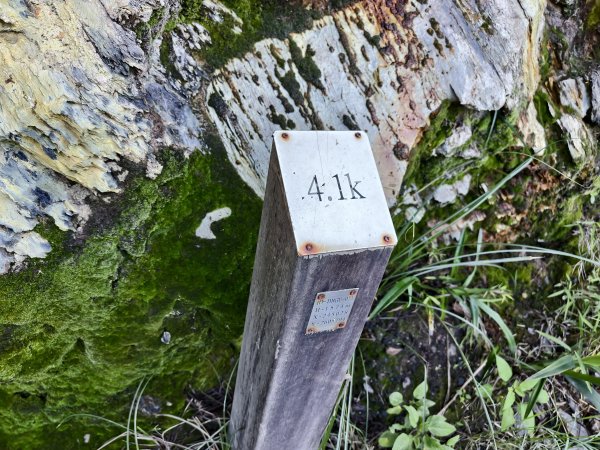 [玉山尋寶任務-07/12] 2025_0824 八通關雲龍瀑布步道2870670