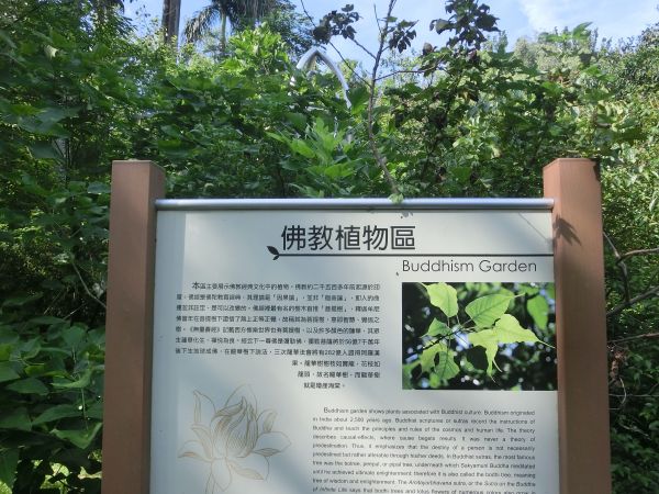 臺北植物園356121