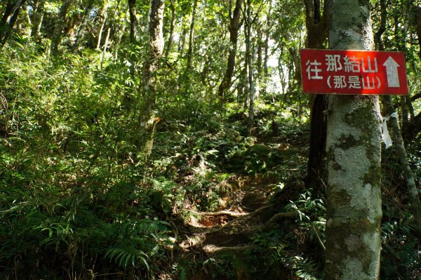 新竹 尖石 貴妃山、那結山2913612