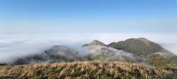 #大屯山 #雲海 3/223019612