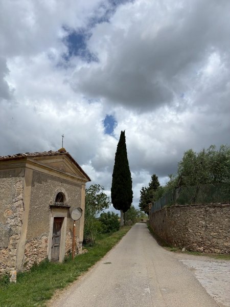 Via Francigena D2: Colle di Val d’Elsa-Monteriggio3072734