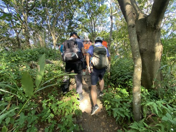 《踏青北投｜捷運唭哩岸到新北投・串走奇岩山、軍艦岩、幸福石》2979013