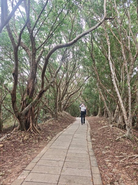 大肚萬里長城11年前的今天2926964