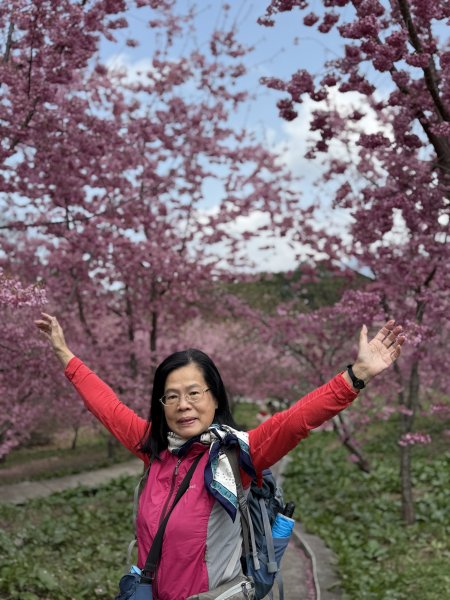 福壽山千櫻園2729952