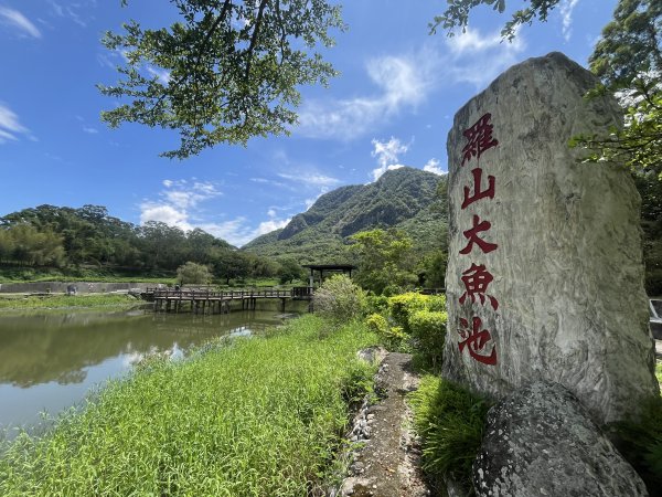 [漫遊縱谷 愛在花東-05/10] 2024_0811 羅山村竹林步道2572910