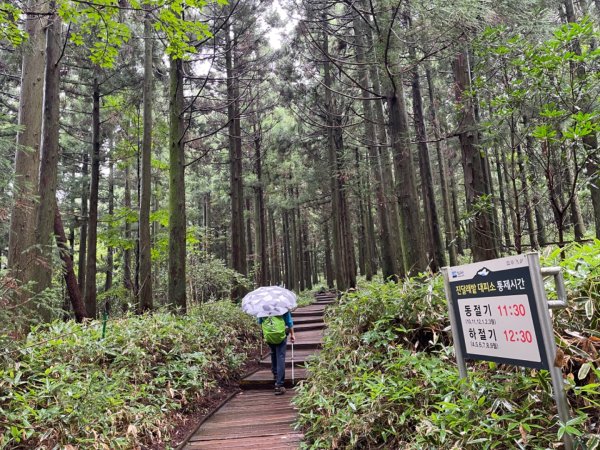 1140811 KR 漢拏山杜鵑花田避難所-紗羅岳觀景臺2860101