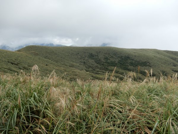 擎天崗_竹篙山_磺嘴山1159664