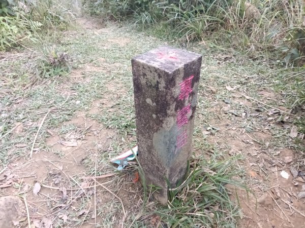 頭城鎮圓通寺+鴻子山東北峰+鴻子山+後湖子山林道+五峰旗山+840峰+水鴨池+水鴨崙+圓通寺O型2983766