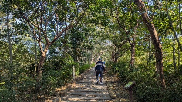 竹坑南寮登山步道2719386