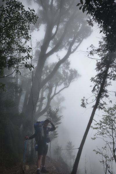 水漾森林。鹿屈山O型2018.04.04306874