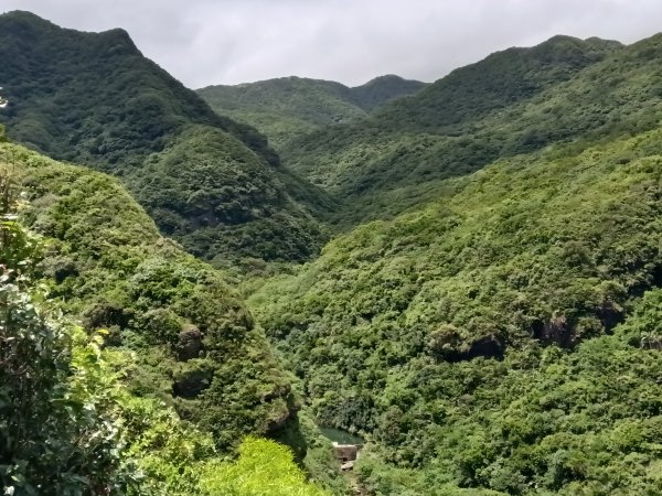 瑞芳區黃金8.5稜+南雅山O型2866460