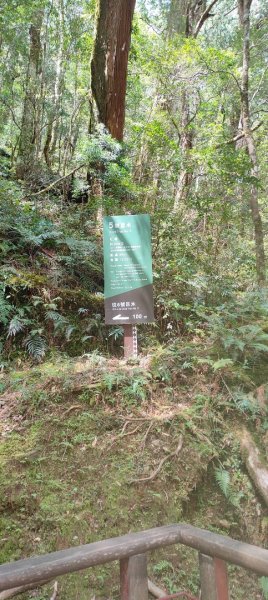 拉拉山國家森林遊樂區2752220