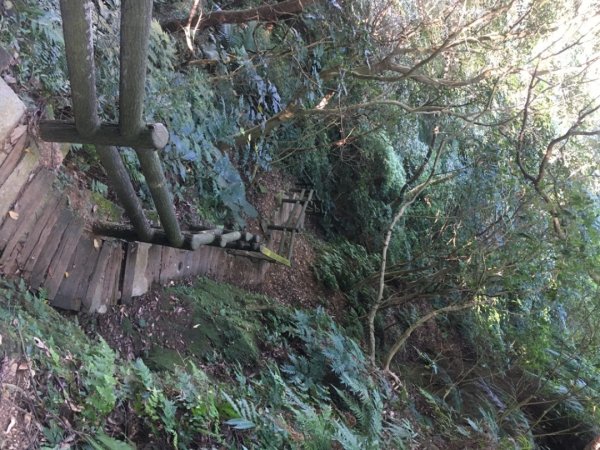 福源山步道、石雲森林步道2358035