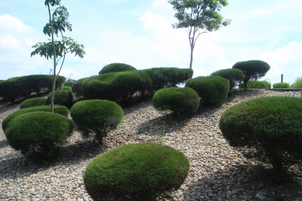 台中．西屯 中央公園步道2023/06/232209200