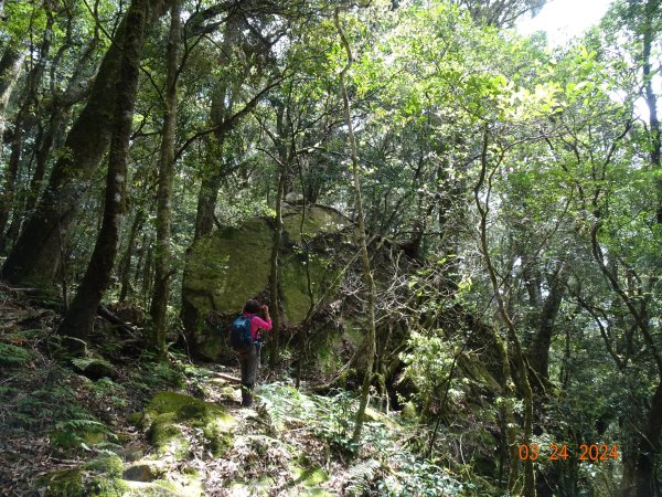 伊利雅娜產道（一般車停車處步行單程約5K產道）至登山口轉接山徑登北霞山往返2461251