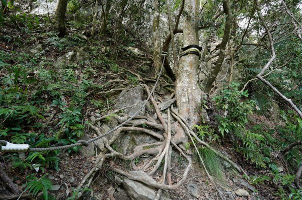 臺中 和平 屋我尾山、十文溪山2699455