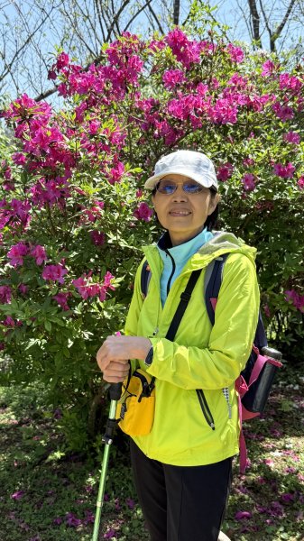 土城太極嶺|五城山|文筆山|峯花雪月2742832