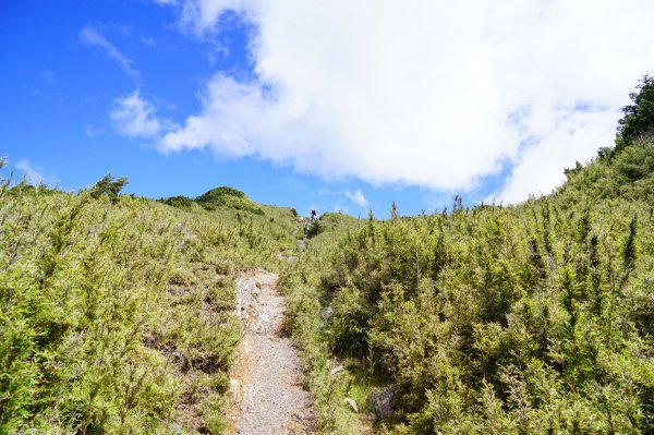 大霸群峰 ｜百岳之路II1000904