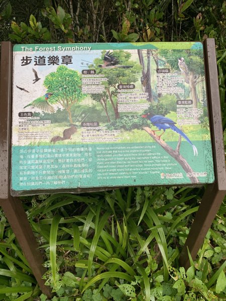 20260321烘爐地（南勢角山）3045195