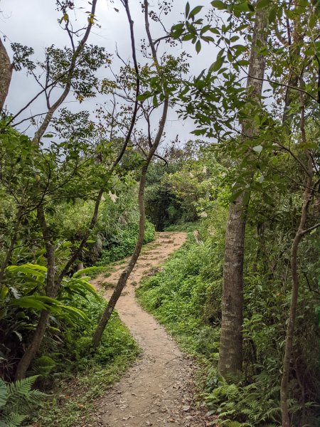 麟光至萬隆 南港山列 福州山 中埔山 芳蘭山1663773