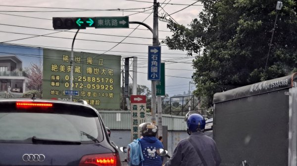 小百岳#39_鳶嘴稍來︳大象出沒1150192