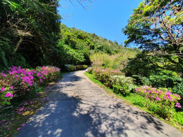 二格山，南邦寮山，猴山岳，阿柔洋山，岐山古道，大香山，員潭子坑山，文山森林公園，新莊牡丹心山1637043