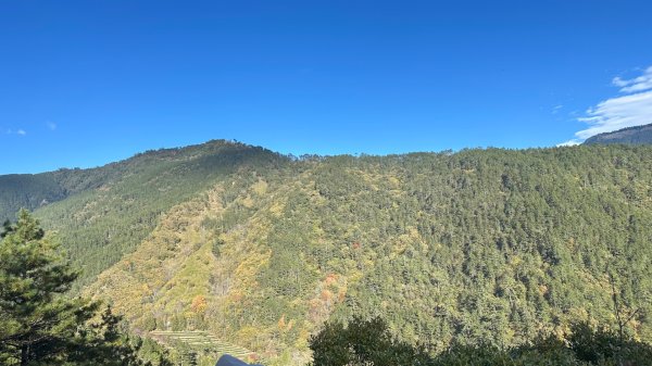 馬武霸下武陵2962382