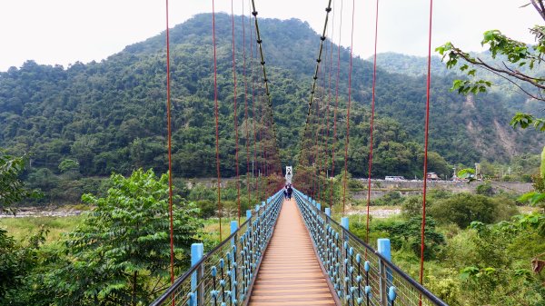 谷關溫泉,八仙山,勝興車站,三灣落羽松2654801