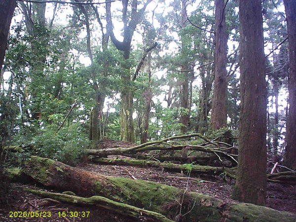 二萬平火車站附近的「屏遮那山」3061543