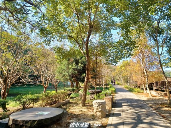 【苗栗】貓貍山公園功維敘隧道2981675