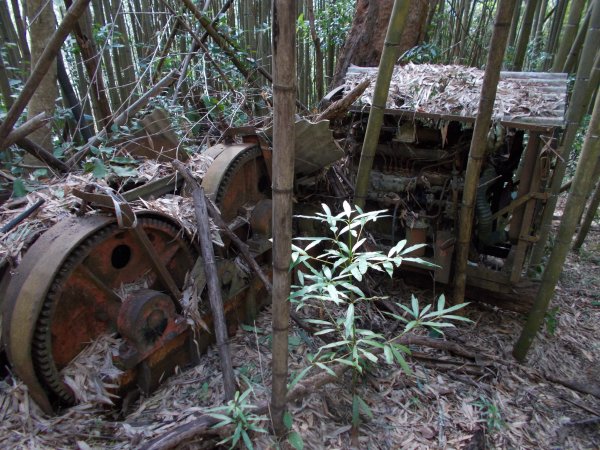 鷹山連走夫婦山西峰1143808