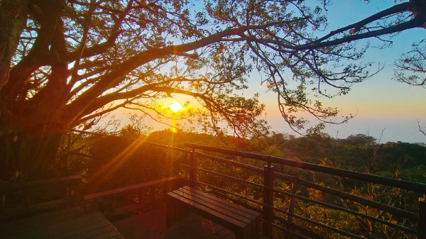 柴山夜爬看夕陽2993427