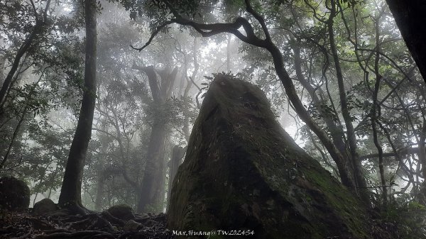 《新竹》不見五指｜北埔五指山登山步道上中指峰20241010封面