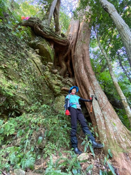 雙鳥縱走+那結山1312830