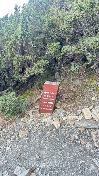 東埔-排雲-玉山西峰-玉山主峰2753199