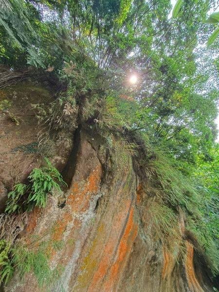 鳶山四秀我家後花園2612949