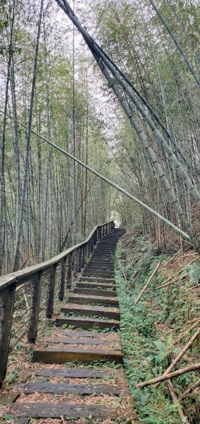 2025-01-19孝子路步道、大巃頂2694245