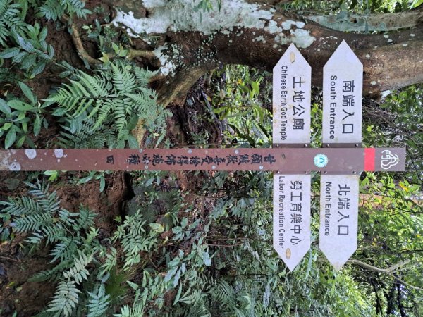 桃園石門山步道3111726