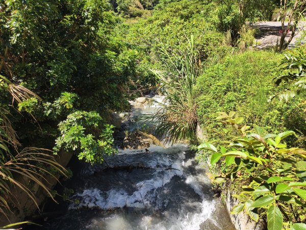 [玉山尋寶任務-07/12] 2025_0824 八通關雲龍瀑布步道2870719