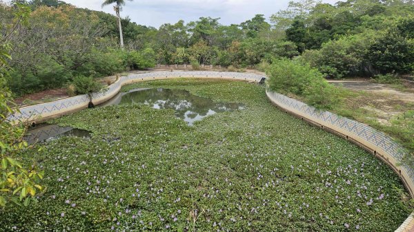20251103濫坑山-鹿廚坑山-中央山-劍潭山-上果作園山2929208