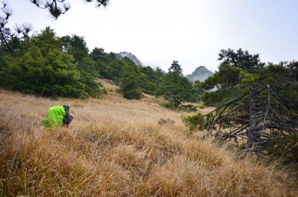 1110408武陵二秀~桃山-喀拉頁山二日行1706836