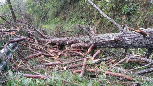 【公告】蘇迪勒颱風警報解除，雪霸國家公園生態保護區登山步道仍暫不開放，雪見遊憩區持續休園