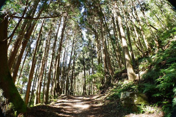 新竹 五峰 西高橋山、霞喀羅大山2959319