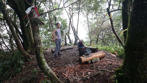 新舊寮瀑布O型登山健行趣(步道)2328238